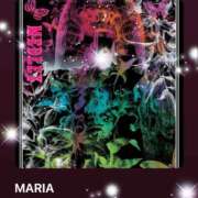 ヒメ日記 2025/06/08 08:30 投稿 えりな 水戸人妻花壇