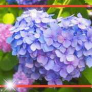 ヒメ日記 2025/06/12 10:01 投稿 えりな 水戸人妻花壇