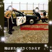 ヒメ日記 2025/06/13 08:30 投稿 えりな 水戸人妻花壇