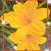 ヒメ日記 2025/06/16 10:01 投稿 えりな 水戸人妻花壇