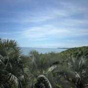 ヒメ日記 2025/06/21 16:19 投稿 えりな 水戸人妻花壇