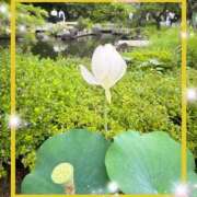 ヒメ日記 2025/07/01 07:30 投稿 えりな 水戸人妻花壇