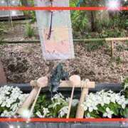 ヒメ日記 2025/07/04 07:45 投稿 えりな 水戸人妻花壇