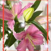 ヒメ日記 2025/07/25 12:20 投稿 えりな 水戸人妻花壇