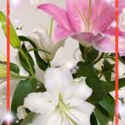 ヒメ日記 2025/07/29 00:11 投稿 えりな 水戸人妻花壇