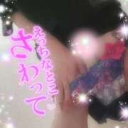 ヒメ日記 2025/08/28 17:13 投稿 えりな 水戸人妻花壇