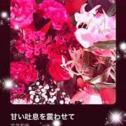 ヒメ日記 2025/10/09 09:07 投稿 えりな 水戸人妻花壇