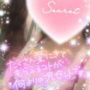 ヒメ日記 2025/10/16 16:20 投稿 えりな 水戸人妻花壇