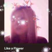 ヒメ日記 2025/10/20 08:32 投稿 えりな 水戸人妻花壇