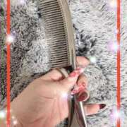 ヒメ日記 2025/10/20 14:06 投稿 えりな 水戸人妻花壇