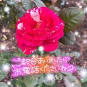 ヒメ日記 2025/10/25 22:31 投稿 えりな 水戸人妻花壇