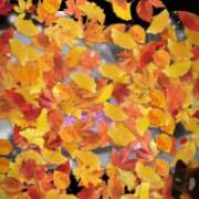 ヒメ日記 2025/11/04 07:12 投稿 えりな 水戸人妻花壇