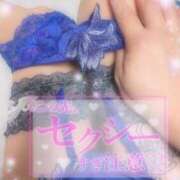 ヒメ日記 2025/11/16 23:03 投稿 えりな 水戸人妻花壇