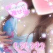 ヒメ日記 2025/11/23 23:28 投稿 えりな 水戸人妻花壇