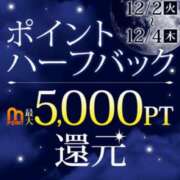 ヒメ日記 2025/12/02 10:11 投稿 えりな 水戸人妻花壇