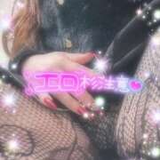 ヒメ日記 2025/12/02 12:18 投稿 えりな 水戸人妻花壇