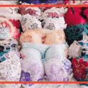 ヒメ日記 2025/12/06 15:07 投稿 えりな 水戸人妻花壇