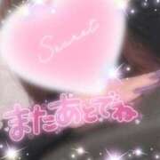 ヒメ日記 2026/01/07 02:38 投稿 えりな 水戸人妻花壇