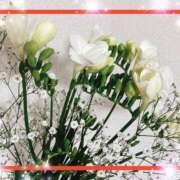 ヒメ日記 2026/01/08 13:11 投稿 えりな 水戸人妻花壇