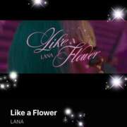 ヒメ日記 2026/02/01 08:33 投稿 えりな 水戸人妻花壇