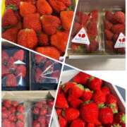 ヒメ日記 2026/04/01 09:35 投稿 えりな 水戸人妻花壇