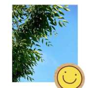 ヒメ日記 2025/04/21 17:49 投稿 さとみ モアグループ川越人妻花壇