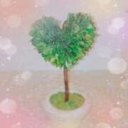 ヒメ日記 2026/04/04 20:13 投稿 ちかげ 熟女の風俗最終章 本厚木店