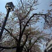 ヒメ日記 2025/04/13 23:36 投稿 ひかる GlamourGlamour (グラマーグラマー)