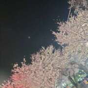 ヒメ日記 2025/04/10 15:56 投稿 ほむら 人妻倶楽部内緒の関係 柏店