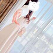 ヒメ日記 2025/05/20 07:57 投稿 夏川 美波 絢(あや)