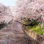 ヒメ日記 2026/04/02 08:32 投稿 夏川 美波 絢(あや)