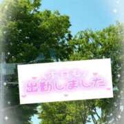 ヒメ日記 2025/05/19 18:04 投稿 はるの 熟女の風俗最終章 仙台店