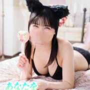 ヒメ日記 2026/02/22 11:53 投稿 日和 アカデミー