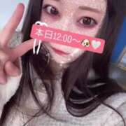 ヒメ日記 2024/12/27 10:13 投稿 さきな FROZEN(フローズン)