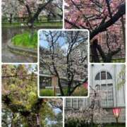 ヒメ日記 2025/04/11 20:58 投稿 吹石藍衣 五十路マダム愛されたい熟女たち 津山店