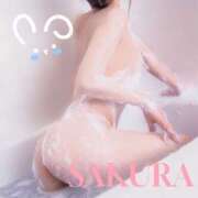 ヒメ日記 2025/04/16 10:30 投稿 桜(さくら) 梅田泡洗体ハイブリッドエステ