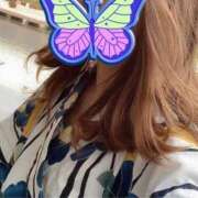 ヒメ日記 2025/08/16 20:15 投稿 こう 奥鉄オクテツ兵庫