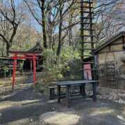 ヒメ日記 2024/12/23 09:04 投稿 なつみ 素人妻御奉仕倶楽部Hip's松戸店