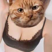 ヒメ日記 2026/02/23 23:00 投稿 はるな クンニM性感　御奉仕ボーイズ　西日暮里店