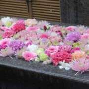 ヒメ日記 2025/05/16 18:27 投稿 桜沢(さくらざわ) 八王子人妻城