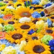 ヒメ日記 2025/05/18 09:42 投稿 桜沢(さくらざわ) 八王子人妻城