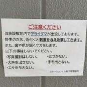 ヒメ日記 2026/07/04 19:45 投稿 もこ 谷町人妻ゴールデン倶楽部