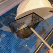 ヒメ日記 2026/09/29 10:35 投稿 もこ 谷町人妻ゴールデン倶楽部