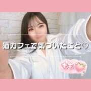 ヒメ日記 2026/07/11 16:28 投稿 もも 熊本グラマーグラマー