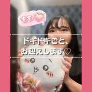 ヒメ日記 2026/10/05 11:53 投稿 もも 熊本グラマーグラマー