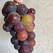 ヒメ日記 2025/08/16 21:45 投稿 まゆみ 妊婦母乳風俗専門店ミルクランド