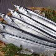 ヒメ日記 2025/09/23 09:06 投稿 まゆみ 妊婦母乳風俗専門店ミルクランド