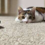 ヒメ日記 2025/11/25 09:08 投稿 まゆみ 妊婦母乳風俗専門店ミルクランド