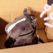 ヒメ日記 2025/03/15 08:49 投稿 まこと 奥様はエンジェル　立川店