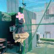 ヒメ日記 2025/09/13 09:33 投稿 まこと 奥様はエンジェル　立川店